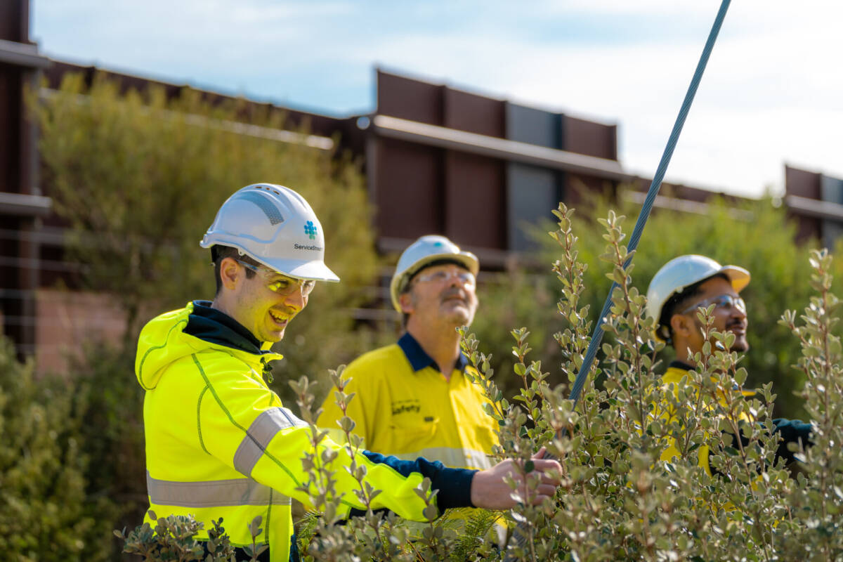 VIC Penlink Capabilities 07 08 24 139